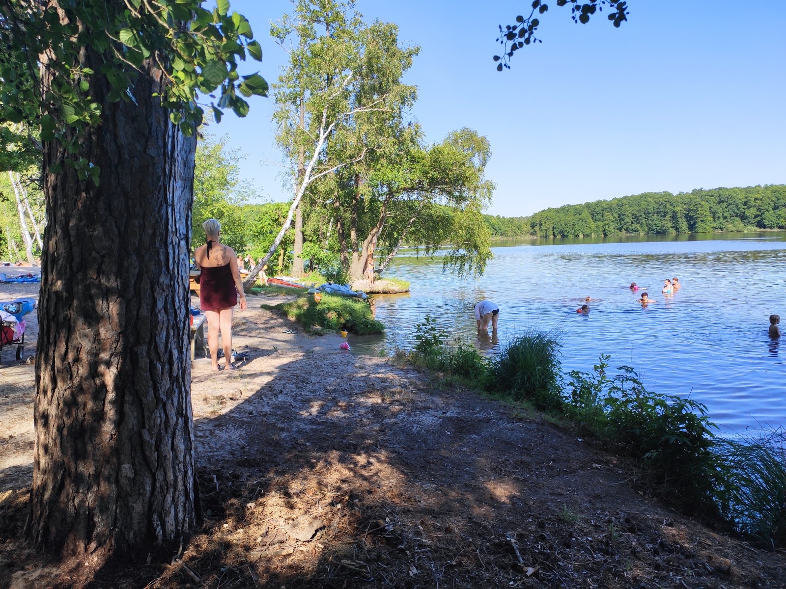 Badestrand Patzer Hintersee'in fotoğrafı düz bir kıyı şeridi ile birlikte