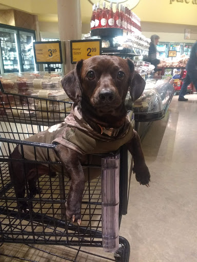 Grocery Store «Safeway», reviews and photos, 1109 E Yelm Ave, Yelm, WA 98597, USA