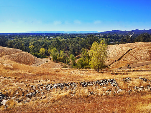 Sacramento River Trail
