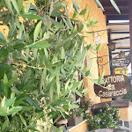 Photo n°1 de l'avis de Polly.a fait le 07/06/2021 à 14:54 sur le  Trattoria La Casareccia à Ceccano