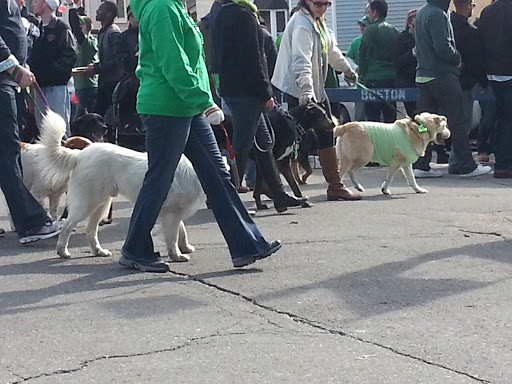 Park «Joe Moakley Park», reviews and photos, 1005 Columbia Road, Boston, MA 02127, USA