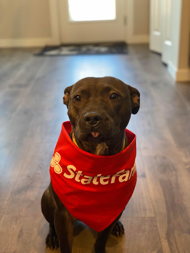 Insurance Agency «Mike Ramirez - State Farm Insurance Agent», reviews and photos