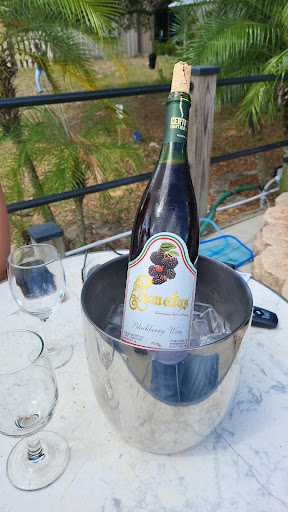 Winery «True Blue Winery», reviews and photos, 604 Pink Apartment Rd, Davenport, FL 33837, USA