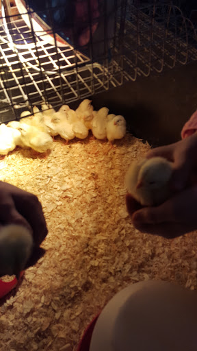 Farm «Aloha Feed Garden & Pet LLC», reviews and photos, 18840 SW Alexander St, Beaverton, OR 97006, USA