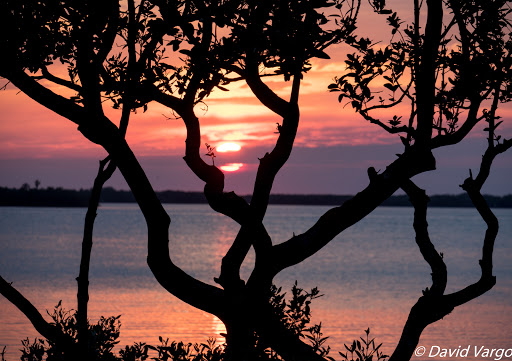 Park «Edgewater Park», reviews and photos, 51 Main St, Dunedin, FL 34698, USA