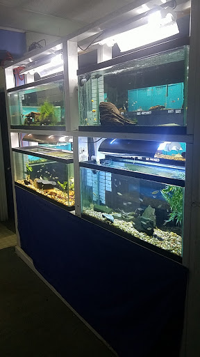 Tropical Fish Store «Richmond Aquarium», reviews and photos, 3645 Speeks Dr, Midlothian, VA 23112, USA