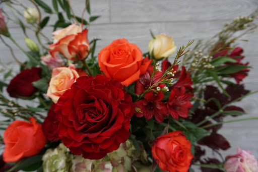 Florist «Carrollwood Florist», reviews and photos, 11745 N Dale Mabry Hwy, Tampa, FL 33618, USA