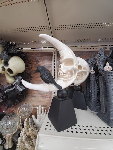 Craft Store «Michaels», reviews and photos, 2075 N University Dr, Coral Springs, FL 33071, USA