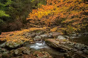 Akasai Gorge image