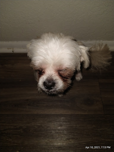 Pet Supply Store «EarthWise Pet», reviews and photos, 4880 Lower Roswell Rd #10, Marietta, GA 30068, USA