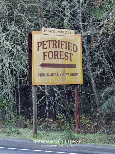 National Forest «Petrified Forest», reviews and photos