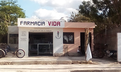 Farmacia Vida, , San Antonio Xluch Dos