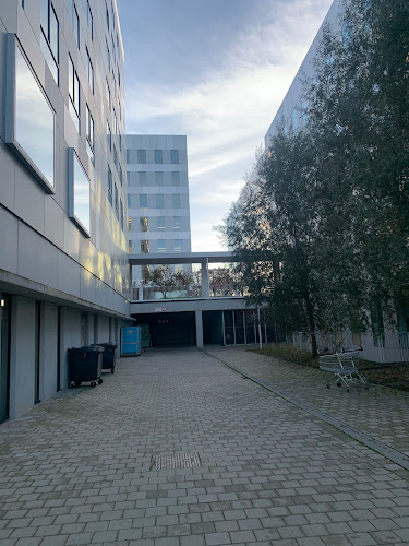Syntra AB campus Antwerpen - Universiteit