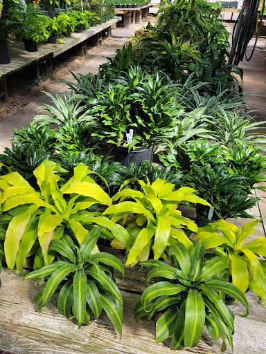 Florist «Platte Floral», reviews and photos, 1417 E Platte Ave, Colorado Springs, CO 80909, USA