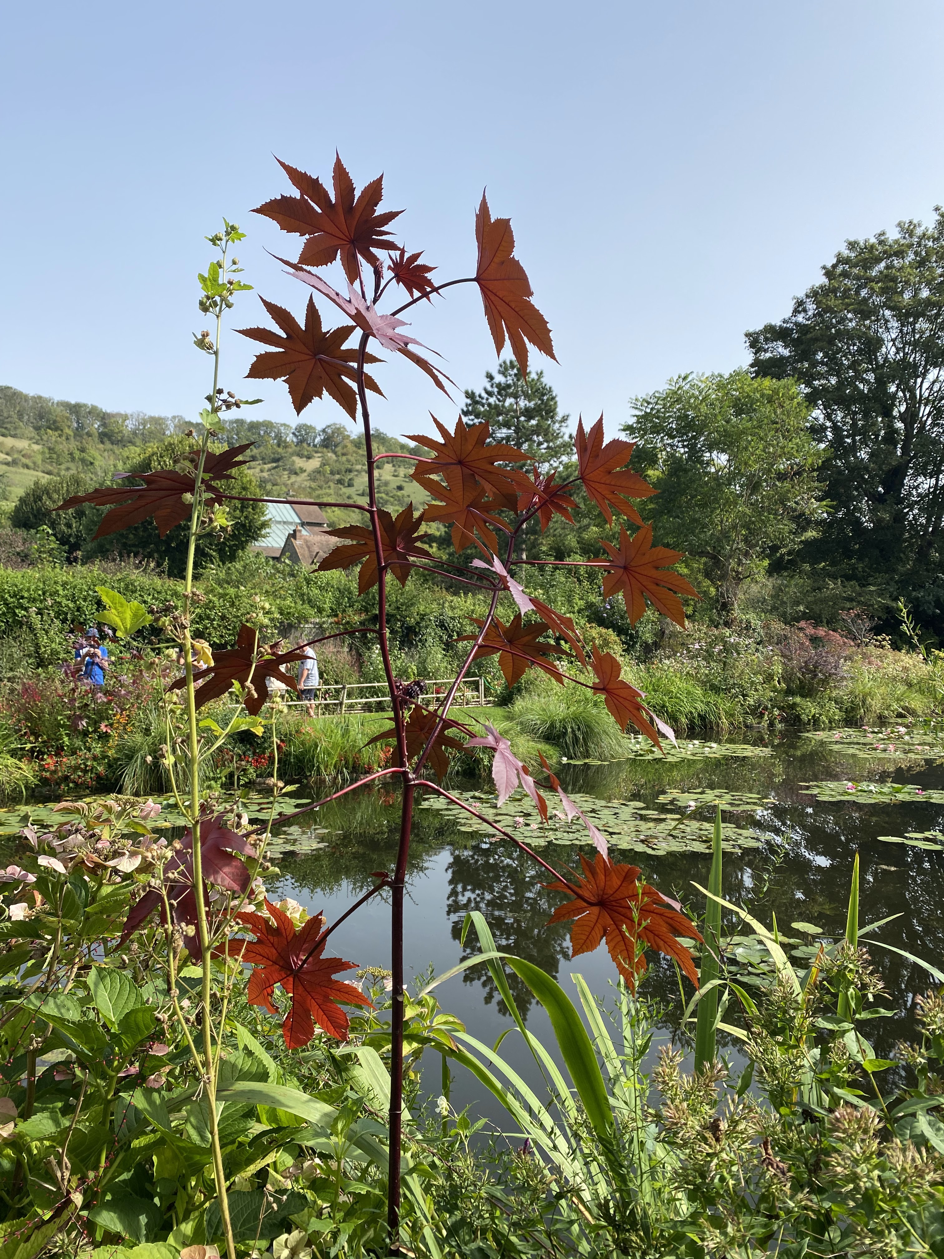 Photo n° 8 de l'avis de Farzad.a fait le 06/09/2023 à 08:16