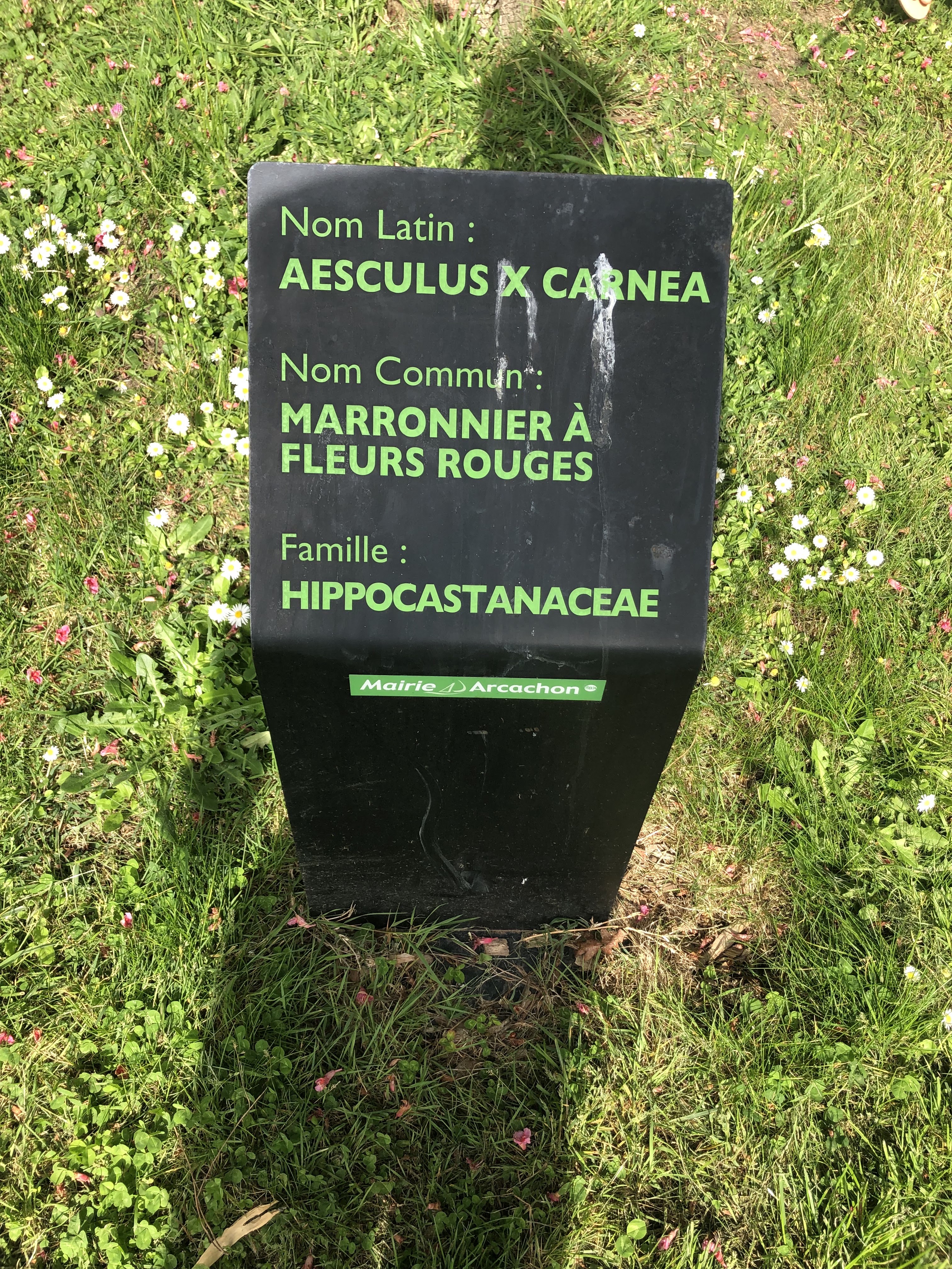 Photo n° 5 de l'avis de Davy.a fait le 29/04/2022 à 15:27