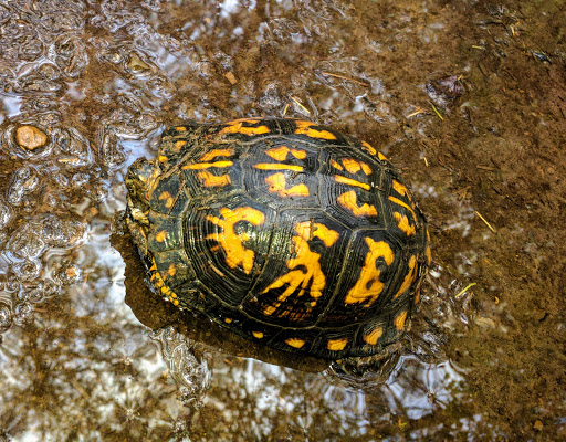 National Park «Stones River National Battlefield», reviews and photos, 3501 Old Nashville Hwy, Murfreesboro, TN 37129, USA
