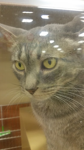 Pet Supply Store «PetSmart», reviews and photos, 2100 88th St, North Bergen, NJ 07047, USA