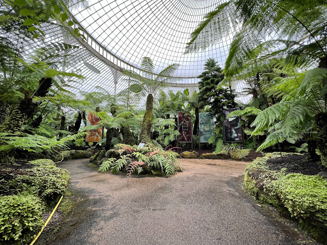 Comments and reviews of Glasgow Botanic Gardens