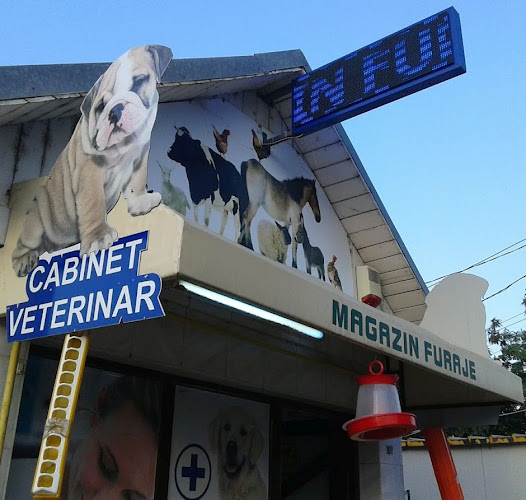 S.C. VADIELA S.R.L. Cabinet Medicina Veterinara