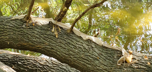 Park «John James Park», reviews and photos, 3910 Rittiman Rd, San Antonio, TX 78234, USA