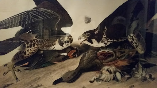 Museum «Audubon Museum & Nature Center», reviews and photos, 3100 US-41, Henderson, KY 42420, USA