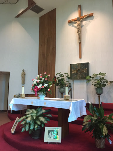 Florist «Seminole Florist», reviews and photos, 8613 Seminole Blvd, Seminole, FL 33772, USA