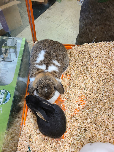 Pet Store «Something Fishy Pets», reviews and photos, 29 Towne Centre Ln, Fox Lake, IL 60020, USA