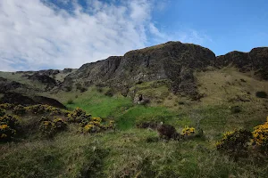 Cave Hill Country Park image