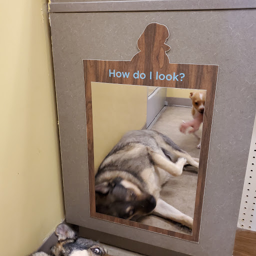 Pet Supply Store «Petco Animal Supplies», reviews and photos, 317 E Trenton Rd, Edinburg, TX 78539, USA