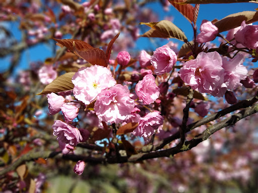 Vineyard «Cristom Vineyards», reviews and photos, 6905 Spring Valley Rd NW, Salem, OR 97304, USA