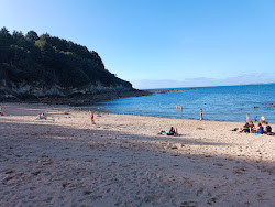 Foto von Plage de Pors Mellec befindet sich in natürlicher umgebung