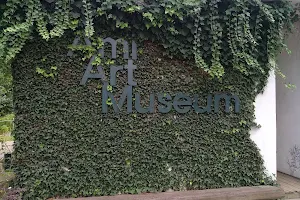 AMI Art Museum image