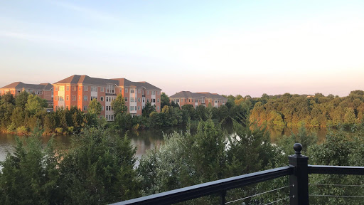 Lounge «MIST Lounge I Restaurant I Hookah», reviews and photos, 46110 Lake Center Plaza, Sterling, VA 20165, USA