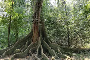 UNAS Botanical Garden image