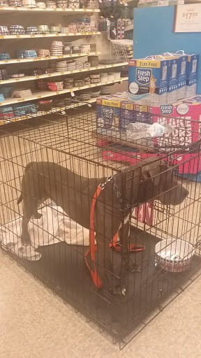Pet Supply Store «PetSmart», reviews and photos, 857 N Val Vista Dr #106, Gilbert, AZ 85234, USA
