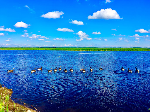 National Reserve «Montezuma National Wildlife Refuge», reviews and photos, 3395 US-20, Seneca Falls, NY 13148, USA