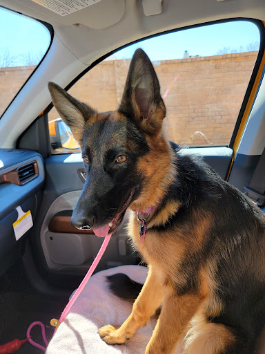 Ford Dealer «North Central Ford», reviews and photos, 1819 N Central Expy, Richardson, TX 75080, USA