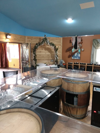 Winery «Chateau Aeronautique Winery», reviews and photos, 1849 Rives Eaton Rd, Jackson, MI 49201, USA