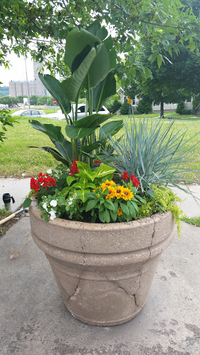 Florist «La Petite Fleur», reviews and photos, 259 Prescott St, St Paul, MN 55107, USA