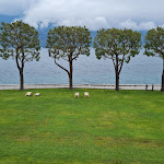 Photo n°2 de l'avis de Birgit.b fait le 18/05/2023 à 06:01 sur le  Hotel Du Lac & Wellness Harmony à Limone Sul Garda