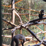 Photo n°8 de l'avis de Christian.o fait le 15/07/2023 à 17:48 sur le  Parc Gallorose à Loc. Cedrino