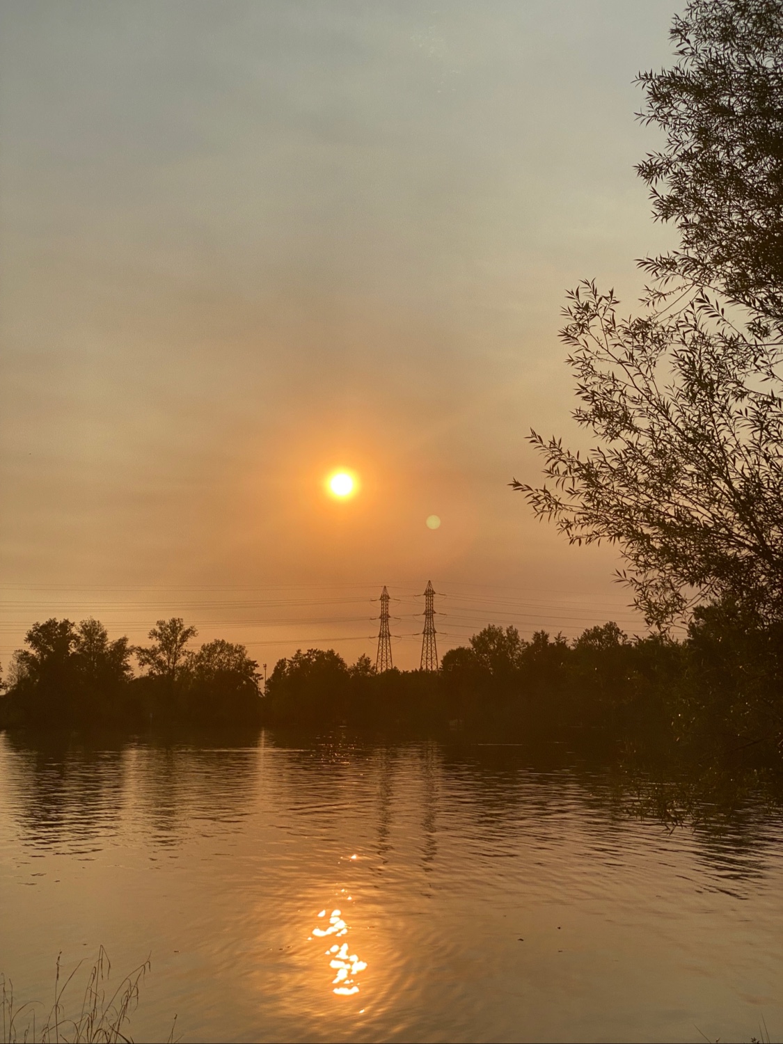 Photo n° 2 de l'avis de Gabriella. fait le 10/08/2022 à 20:04