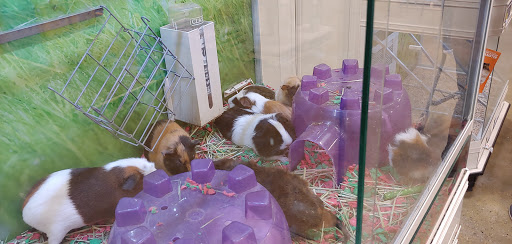 Pet Supply Store «PetSmart», reviews and photos, 525 Connecticut Ave, Norwalk, CT 06854, USA