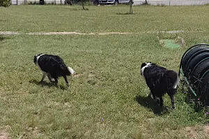 Barbeque Downs Dog Park image