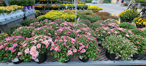 Home Improvement Store «The Home Depot», reviews and photos, 3891 Mexico Rd, St Charles, MO 63303, USA