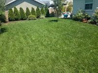 Deibys Landscape inc. - Car repair in Cerritos, CA, Long Beach - Rated 4.6/5