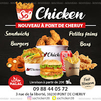 Photos du propriétaire du Restaurant halal So'Chicken à Pont-de-Chéruy - n°14