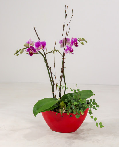 Florist «Ah Sam Florist», reviews and photos, 2645 S El Camino Real, San Mateo, CA 94403, USA