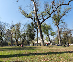 Alameda Mariano Escobedo photo